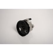 Насос гидроусилителя Renault Logan  Dokker 491101451R